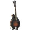 La mandoline Loar LM-520-VS