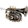 Trompette de poche Allora MXPT-5801-BK série