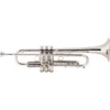 Trompette Stradivarius Bach LT190L1B