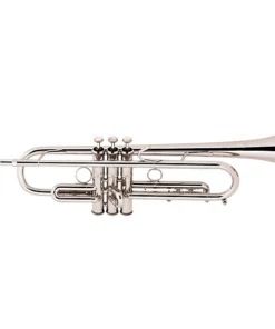 Trompette Stradivarius Bach LT190L1B