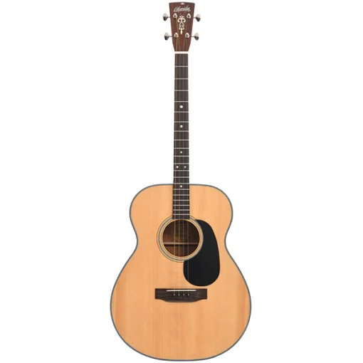 Guitare ténor Blueridge BR-40T