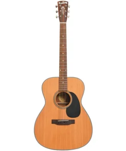 Guitare acoustique Blueridge BR-43 2012