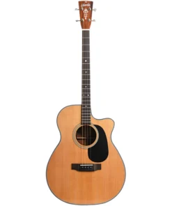 Guitare ténor à pan coupé Blueridge Contemporary Series BR-40TCE