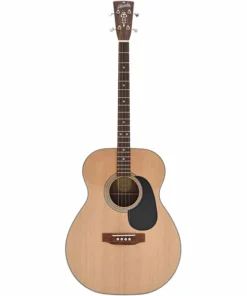 Guitare ténor Blueridge Contemporary Series BR-60T