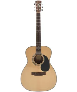 Guitare Bristol BM-16 000