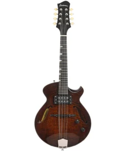 Achetez la guitare mandoline Eastman ER-M El Rey en ligne