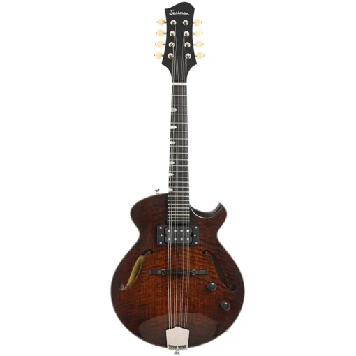 Achetez la guitare mandoline Eastman ER-M El Rey en ligne