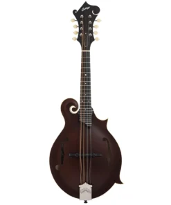 Collings MF Mandoline modèle F Sheraton Marron