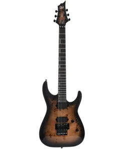 Guitare électrique ESP LTD H-1001FR