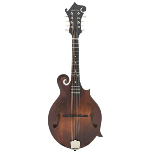 Acheter la mandoline classique Eastman MD315 en ligne