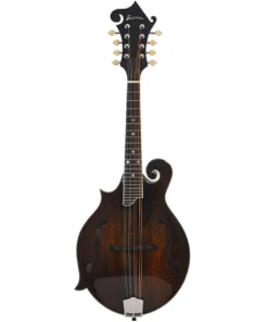 Achetez la guitare mandoline classique Eastman MD515 en ligne