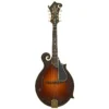 Acheter la mandoline Ellis F-5 Reserve (2016) en ligne