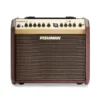 Fishman Loudbox Mini avec ampli acoustique Bluetooth