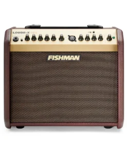 Fishman Loudbox Mini avec ampli acoustique Bluetooth