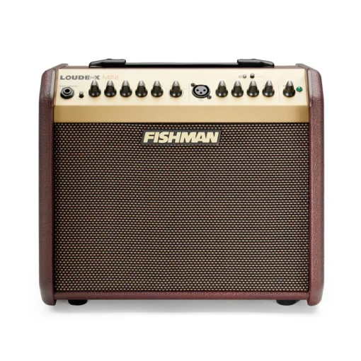 Fishman Loudbox Mini avec ampli acoustique Bluetooth
