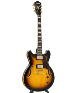 Guitare semi-hollowbody Ibanez Artcore Expressionist AS93FM