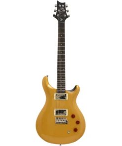 Guitare électrique PRS SE DGT