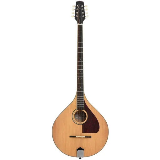 Trinity College Bouzouki