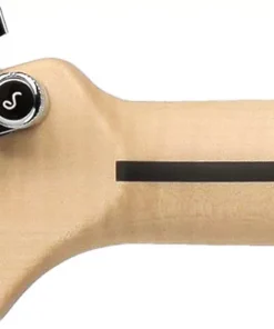 Vigier guitares